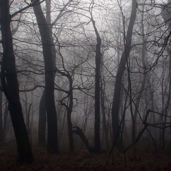 A Murder Spree, A Sinister Haunting, and EVP Conversations With Serial Killer Ghosts