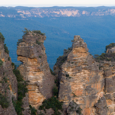 Investigating Australia’s Bigfoot