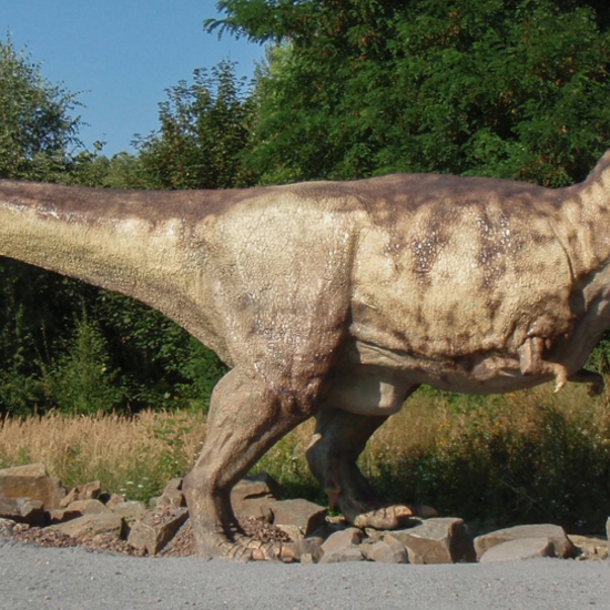 T. Rex May Have Been a Tiny-Armed Prehistoric Slasher