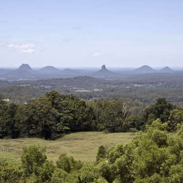 Unidentified Large Creature Terrorizing Australian Community