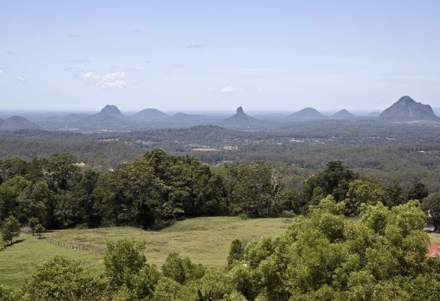 Unidentified Large Creature Terrorizing Australian Community