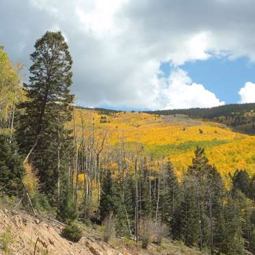 Unexplained Wooden Structures in Santa Fe National Park Baffle Rangers