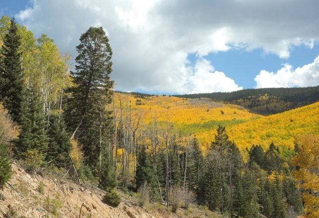 Unexplained Wooden Structures in Santa Fe National Park Baffle Rangers