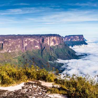 Unknown Creatures and Strange Rituals Found in Venezuelan Petroglyphs