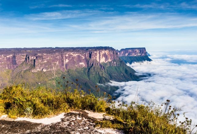 Unknown Creatures and Strange Rituals Found in Venezuelan Petroglyphs