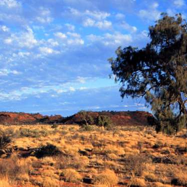 Profiling Australia’s Mysterious Animals