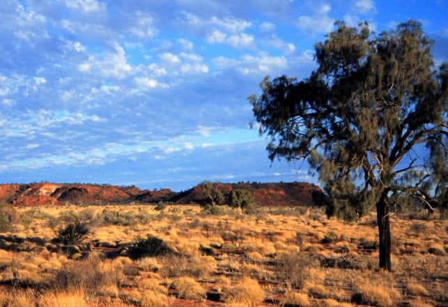 Profiling Australia’s Mysterious Animals