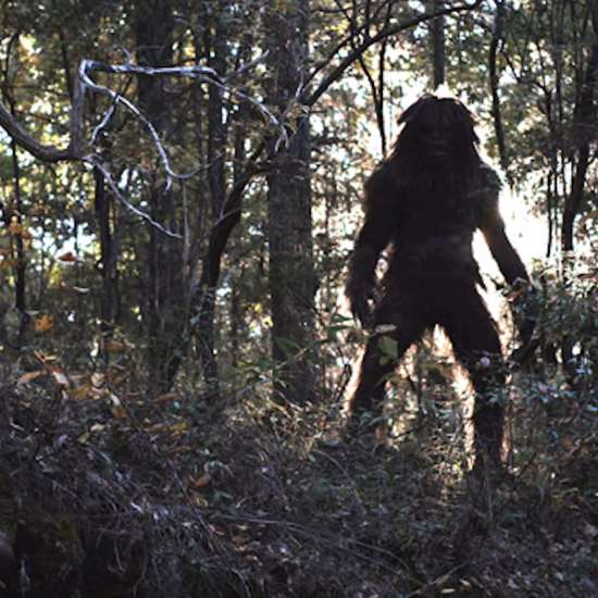Some of the Most Discussed Pieces of Bigfoot Footage Ever