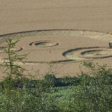 Not Quite A Crop Circle, But…