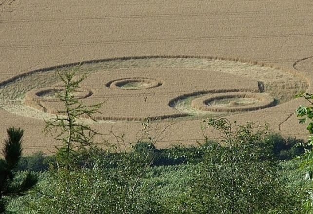 Not Quite A Crop Circle, But…