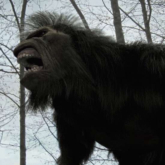 Bizarre and Frightening Accounts of Bigfoot Attacks