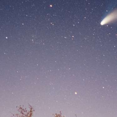 Meteorite Hunter Finds Pieces of Mysterious Michigan Meteor