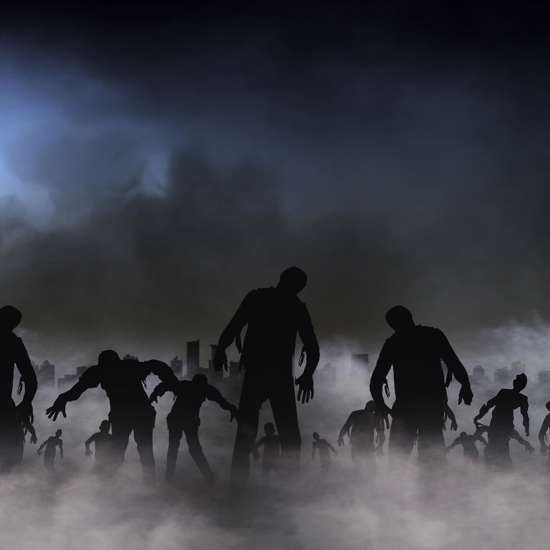 Scientists Warn Bizarre ‘Zombie’ Disease Could Soon Appear in Humans