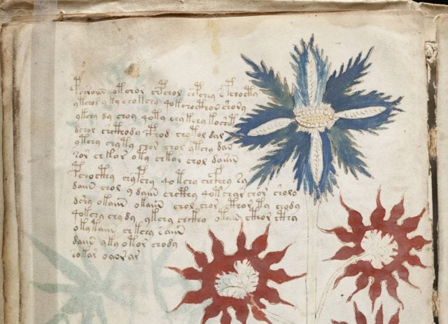 Curiously, many of the plants depicted in the manuscript resemble no known plants or flowers. On Earth, anyway.