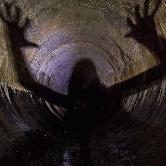 Strange Encounters with Bizarre Tunnel-Dwelling Monsters
