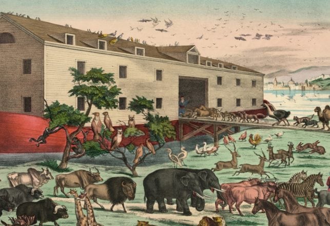 Biblical Archeologists Claim to Find Noah’s Ark and Mount Sinai