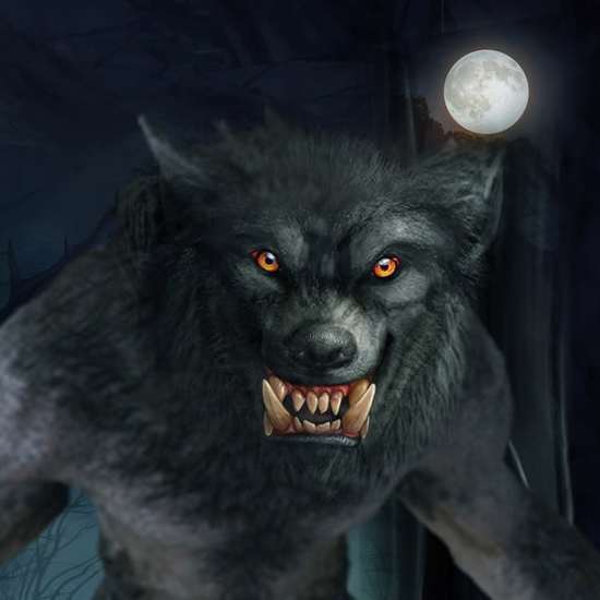 A Legendary Tale of a Werewolf