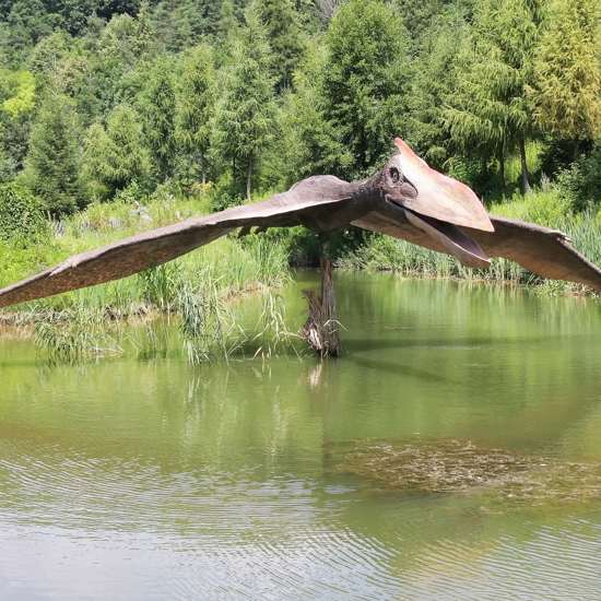 Multiple Sightings of Large Unidentified Winged Creatures in North Carolina