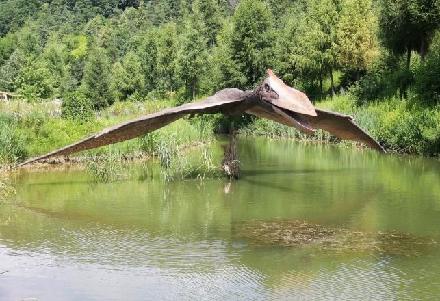 Multiple Sightings of Large Unidentified Winged Creatures in North Carolina