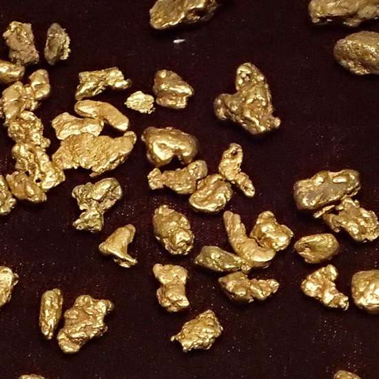 Mysterious Bacteria Eats Metal and Poops Out Gold Nuggets