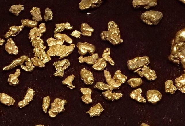 Mysterious Bacteria Eats Metal and Poops Out Gold Nuggets