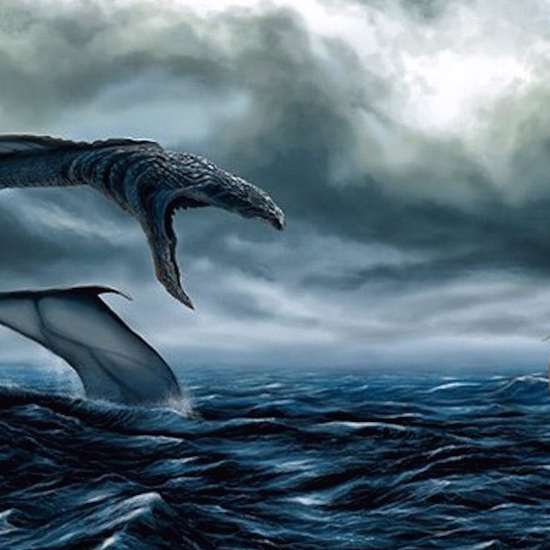 The Mysterious Sea Monsters of Monterey Bay