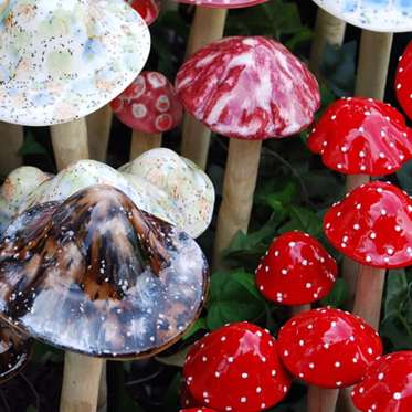 Magic Mushrooms May Be the Cure for Fascism
