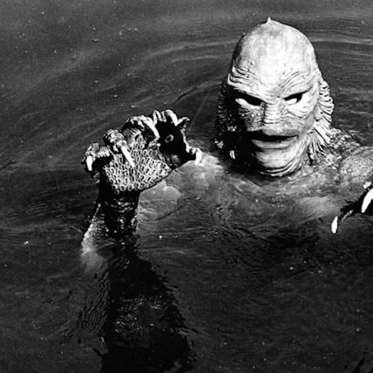 Weird Encounters with Frog-Men, Gill-Men, and Other Amphibious Humanoids