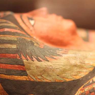 Mysterious Black Goo Found With Mummies Has a Strange Purpose and Origin