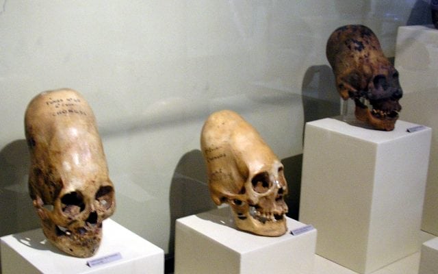 paracas skulls 640x400