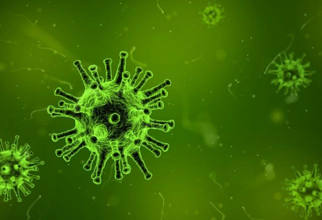 The Speed of Viruses: Zombies vs. the Real World