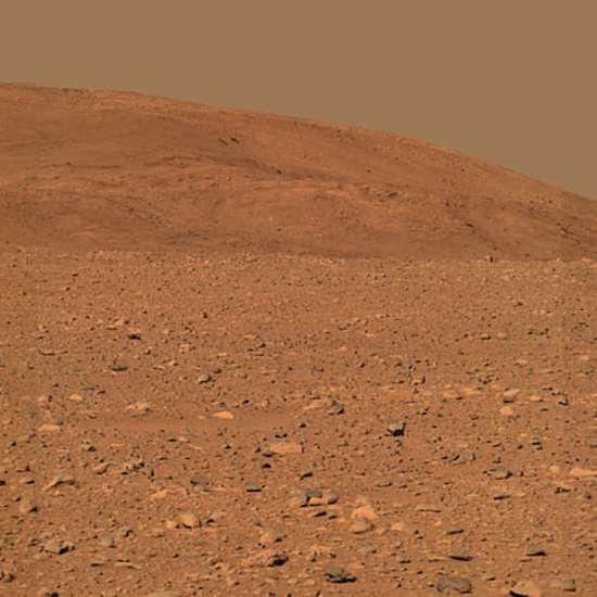 Scientist Claims Proof that NASA is Hiding Alien Life on Mars