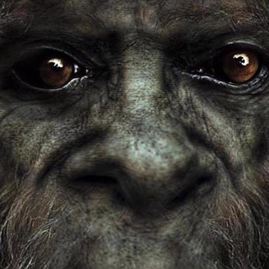 The Mysterious Mexican Bigfoot