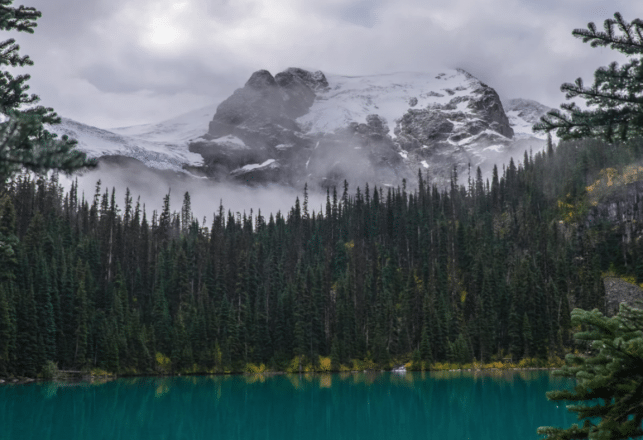 “You Have Shot My Friend.” This Early American Sasquatch Story is One of the Eeriest