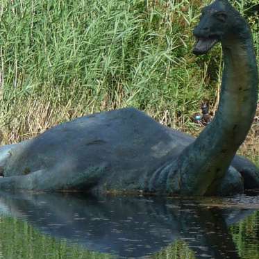 Sonar Picture of Loch Ness Monster Claimed by Boat Captain