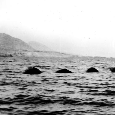 Canadian Scientist Explains the Ogopogo Lake Monster