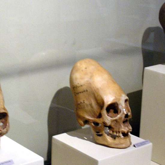 Tombs Containing Elongated Skulls Discovered in Bolivia
