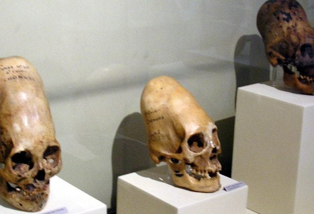 Elongated Skulls and the Fall of the Roman Empire