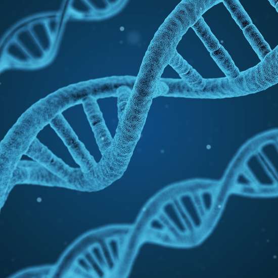 Biohacker Creates DNA Sequence from Bible and Injects God’s Name in Vein