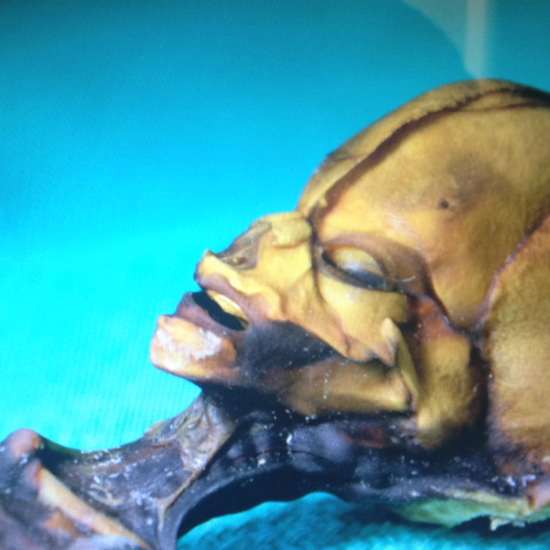 DNA Analysis Reveals Origin of ‘Alien’ Atacama Skeleton