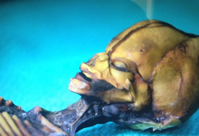 New Research Casts Doubt on Analysis of Atacama “Alien” Skeleton