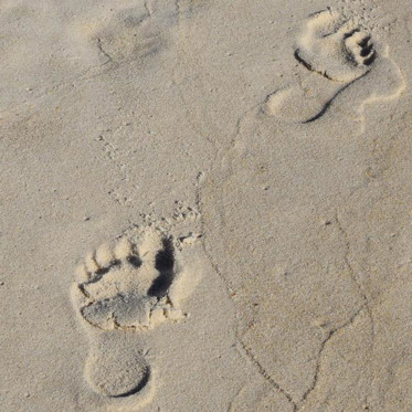 Oldest Human Footprints in North America Found on Canadian Island