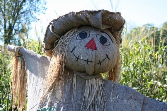 happy scarecrow 570x379