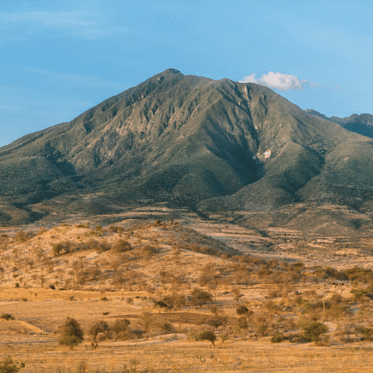 Wild Beasts of the Mountain: An Early Account of Siberian “Wild People”