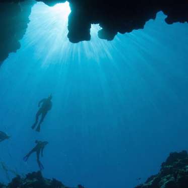 The Mysterious Monster Of the Deep Blue Holes of the Bahamas