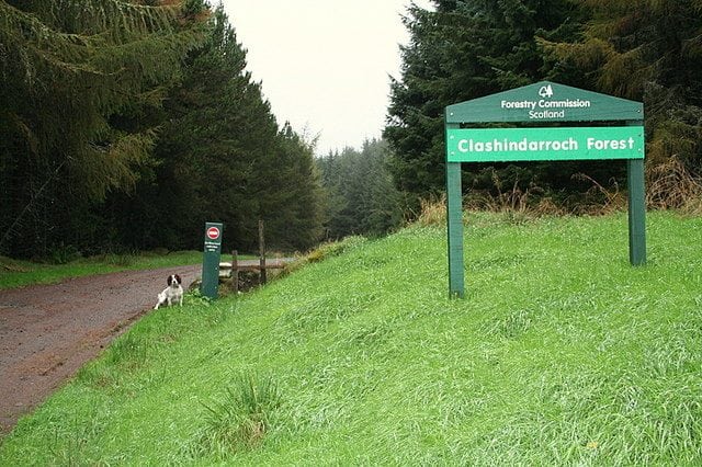 Clashindarroch Forest 640x426