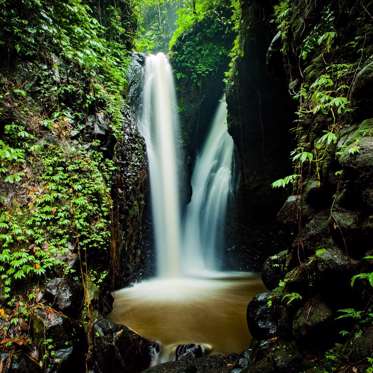 Missing Woman Found in the Jungle Says Divine Voice Taught Her Photosynthesis