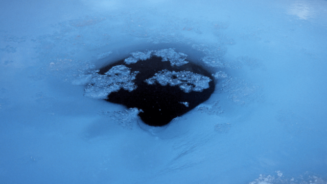 Ring seal breathing hole sea ice Pond Inlet Canada 640x361