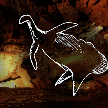 Cosquer Cave’s Seal-Headed Man and Other Mysterious Beasts