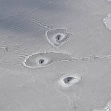 These Mysterious Circles in the Arctic Ocean Have NASA Scientists Baffled